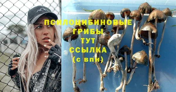 spice Володарск