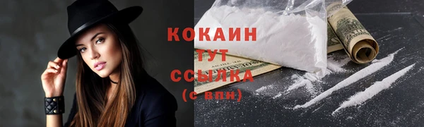 гидра Волоколамск
