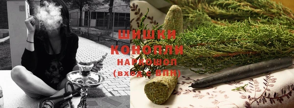 гидра Волоколамск