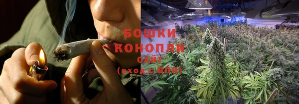 гидра Волоколамск
