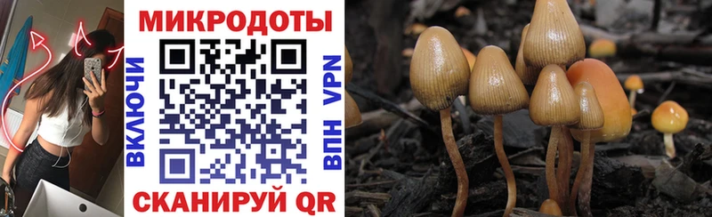 купить закладку mega зеркало Псилоцибиновые грибы мухоморы Вуктыл